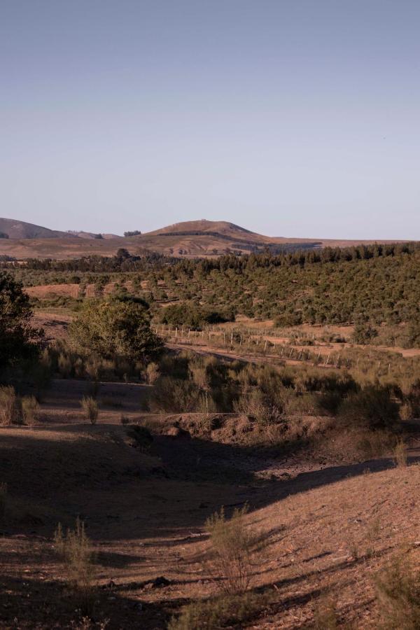 Posada La Serena Minas Esterno foto